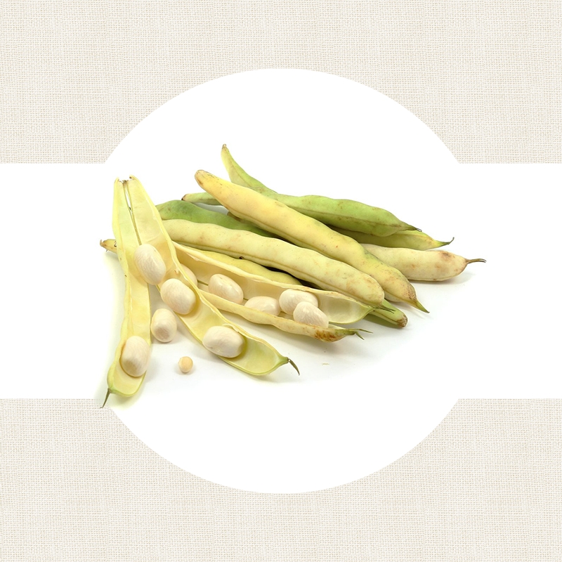 Haricots Rognon blanc